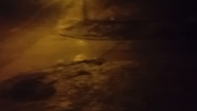 1000017284.mp4 Вчера такой дождь был