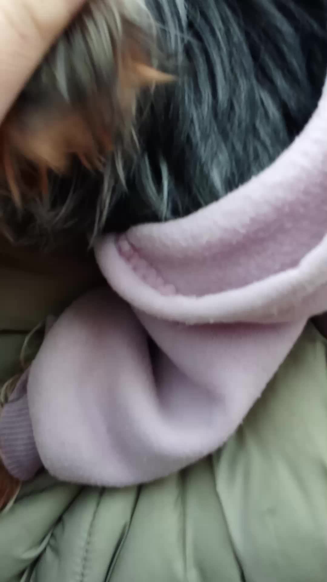 идём гулять на аллею