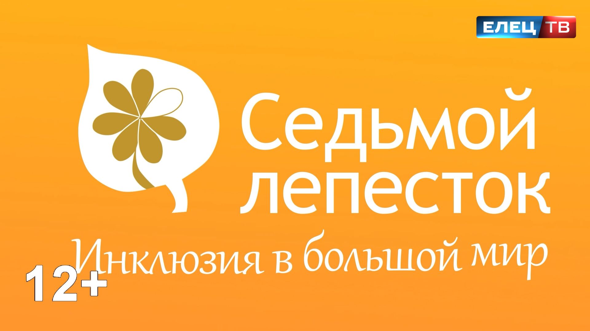 Седьмой лепесток. Инклюзия в большой мир