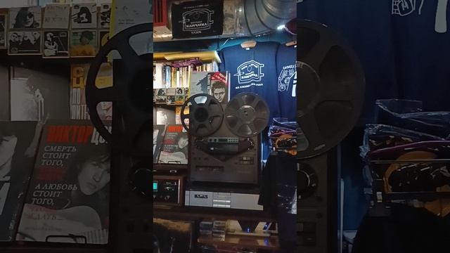 Кино. Цой. Камчатка.