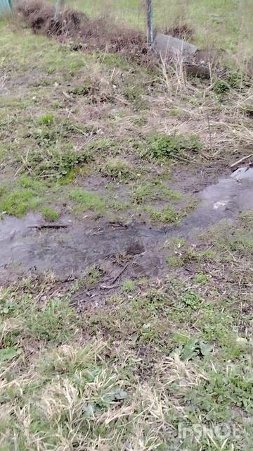 Душевного тепла и света всем возлюбленным! 