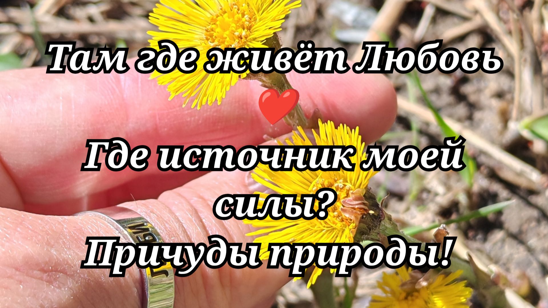 122 Где мой источник силы? Причуды природы!