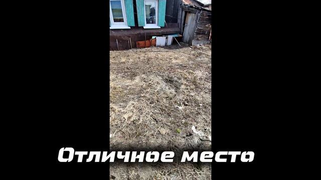 1000802308.mp4