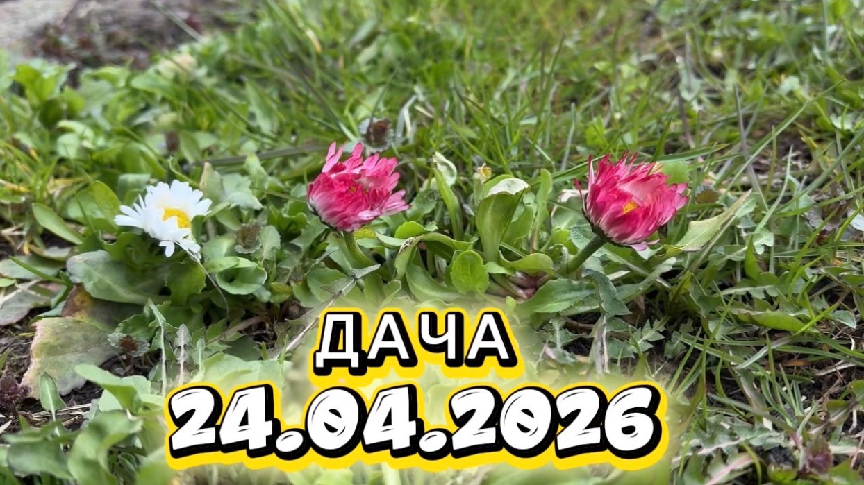 СЪЕЗДИЛИ НА ДАЧУ 24.04.2026 Г