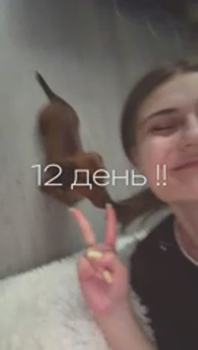 12 день  выбрасываю 465 вещей за месяц  поведенческая активация и авито