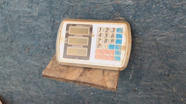 Мамка на 32 кг в зачете