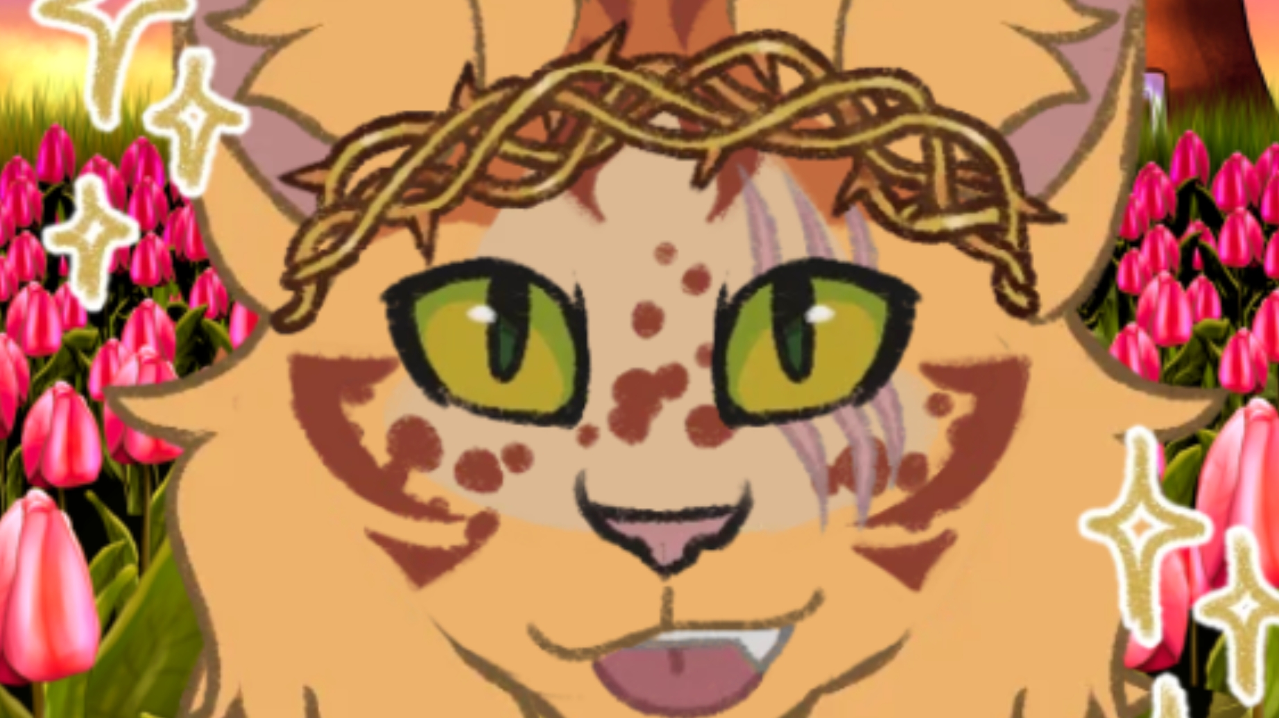 отвечай на вопросы вторая часть