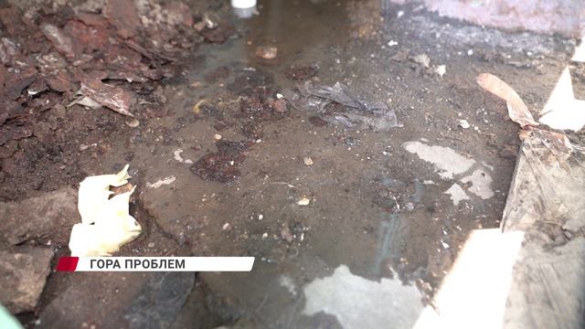 Тридцать три несчастья