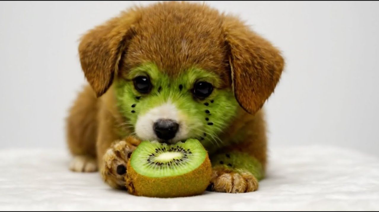 Милые фруктовые собачки едящие вкусные фрукты! AI ASMR