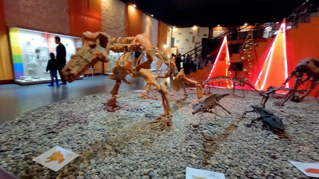 Музей пермских древностей