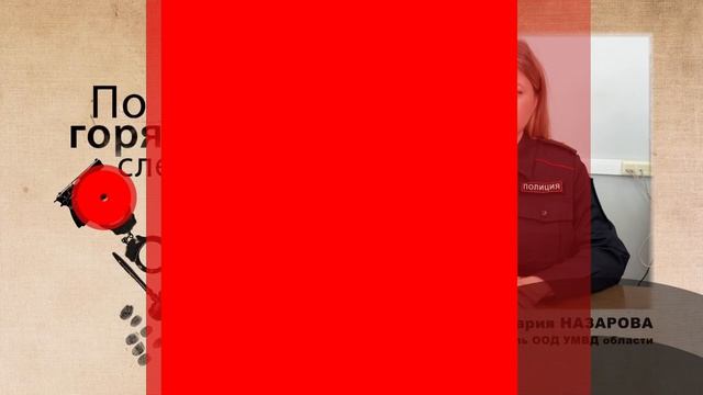 В Ивановской области поймали гастролера специализировавшегося на Лего