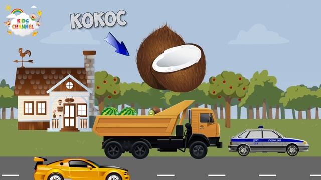 Учим Фрукты с машинкой апельсин киви яблоко кокос персик лимон.