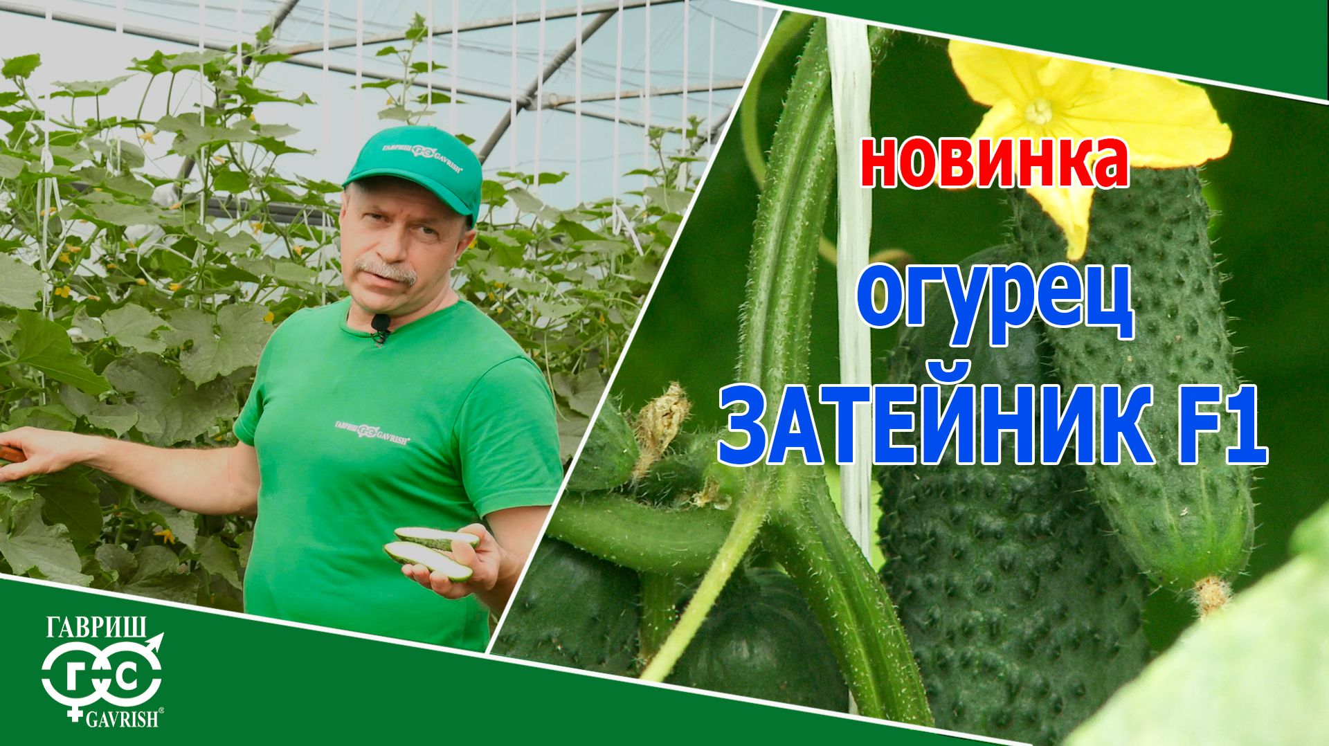 ОГУРЕЦ ДЛЯ НАЧИНАЮЩИХ И ОПЫТНЫХ ОГОРОДНИКОВ