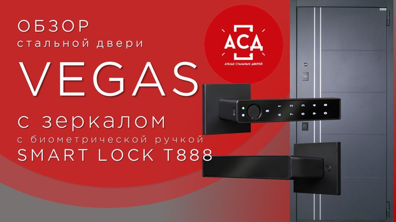 Стальная дверь Vegas с зеркалом с умной электронной ручкой Smart Lock T888