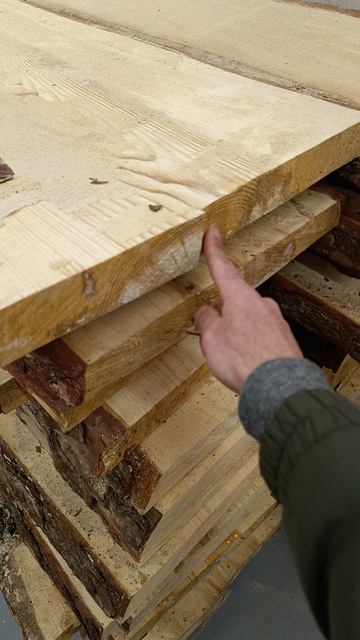 С чего начинается лежак в баню