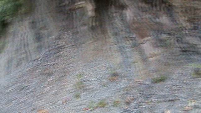 170и МАМЕДОВОЕ УЩЕЛЬЕ