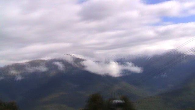 188й РОЗА ХУТОР