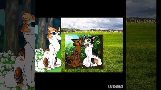 Видео об моей ОС. Ура!