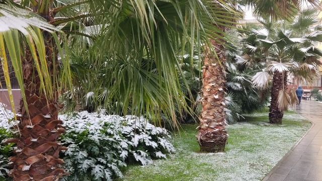 Песня: Москва и Сочи