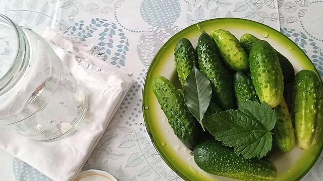 Готовлю котлеты из кабачков архив июль2025