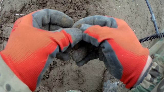 Весенний коп с металлоискателем DEUS-2 под присмотром двух лосей.