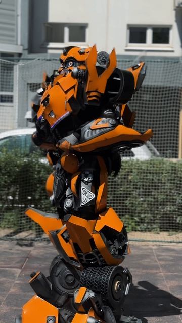 Шоу Трансформеров