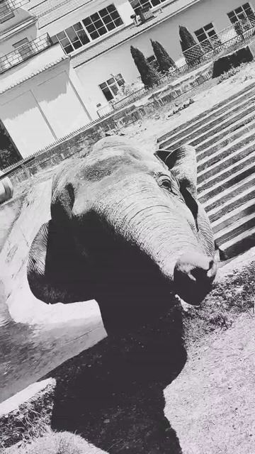 Песня: Просто устоять