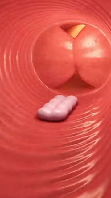 ЧТО БУДЕТ ЕСЛИ СЪЕСТЬ ЖЕВАЧКУ?!