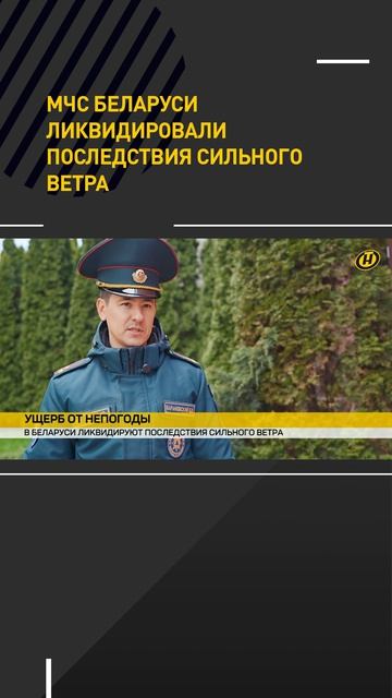 МЧС Беларуси ликвидировали последствия сильного ветра