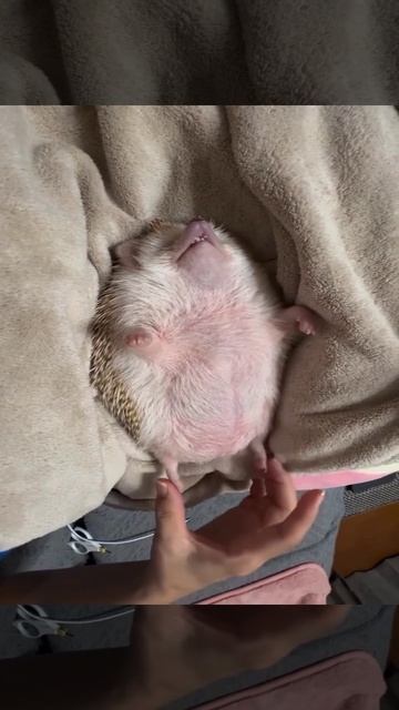 Video_2026-03-05_12-59-43