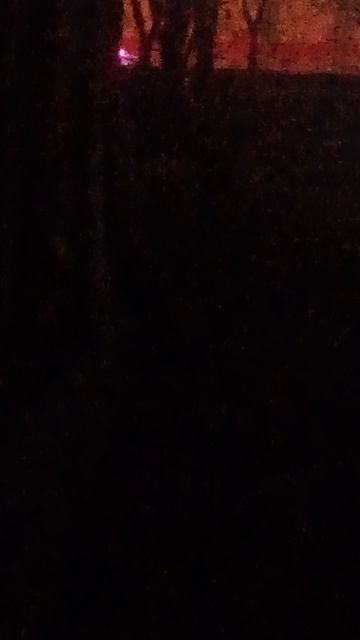 Я УВИДЕЛ ПОЛИЦИЮ !!! 