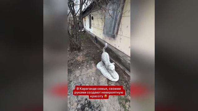 Видео от Департамент Вирусного Контента  ДВК