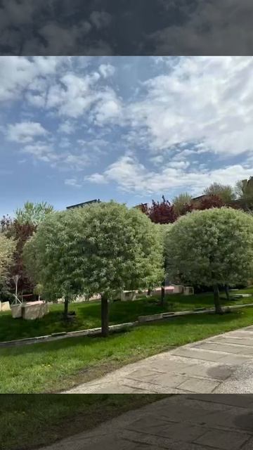 Document_5429137054996928053