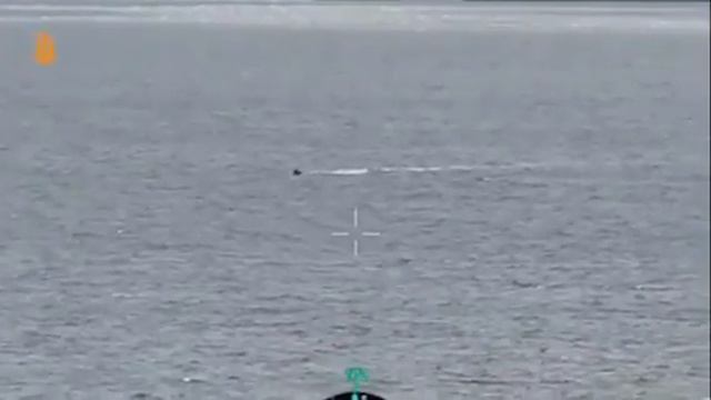 У побережья Одессы был уничтожен российский военно-морской беспилотник.

Россия располагает подобным