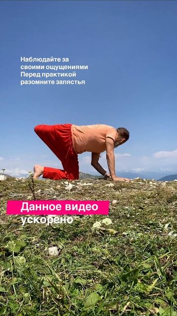 Упражнения в позе кошки. Это база которая входит в каждый мой урок  с акцентом на осанку с целью