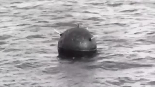 МОРСКАЯ ПЕХОТА. МООНЗУНДСКАЯ ОПЕРАЦИЯ