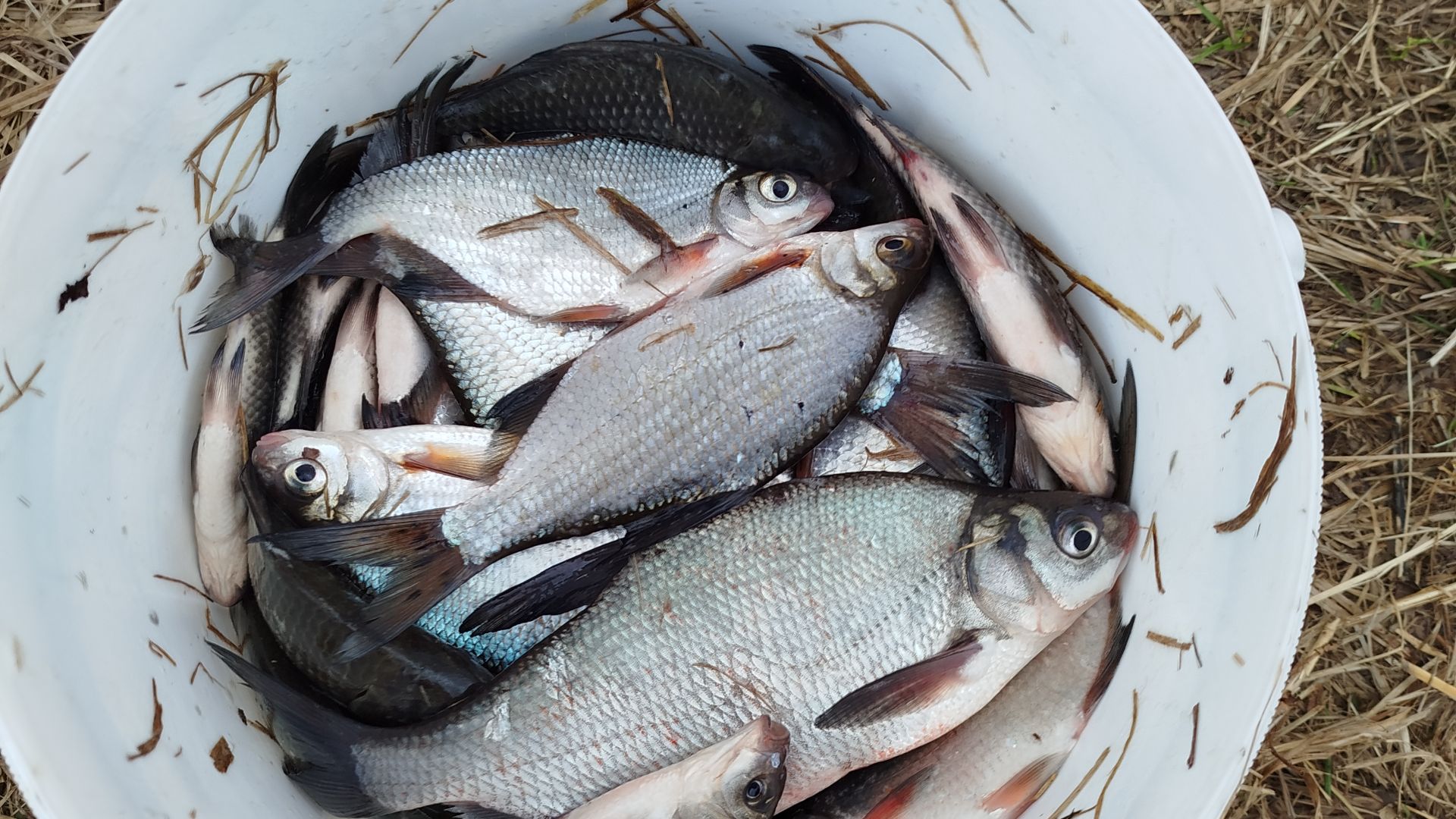 Не плохо открыли сезон.