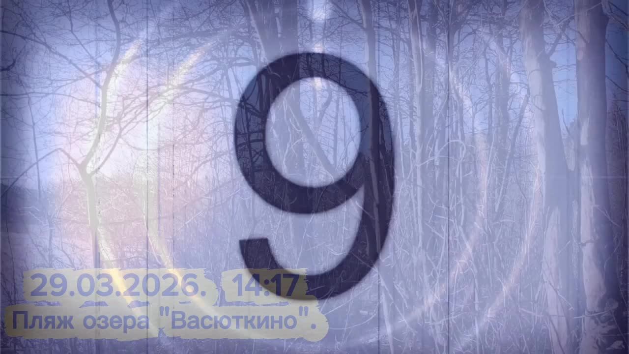 КОРОТКОМЕТРАЖКИ ОТ ВСЁ ОБО ВСЁМ! Васюткино озеро. Жизнь сбежавшей утки.