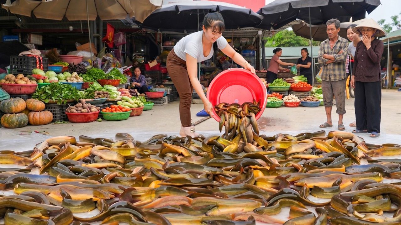Купила много вьюнов у женщины-фермера. Отправляюсь на рынок и продавать  Уход за животными..