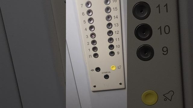 ванеева на Авито