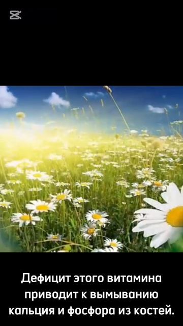Витамин D3: энергия крепкие кости и иммунитет  в одной капсуле!