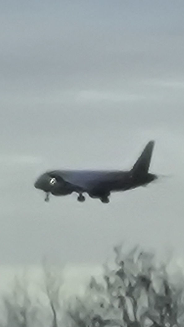 Тренеровка посадки