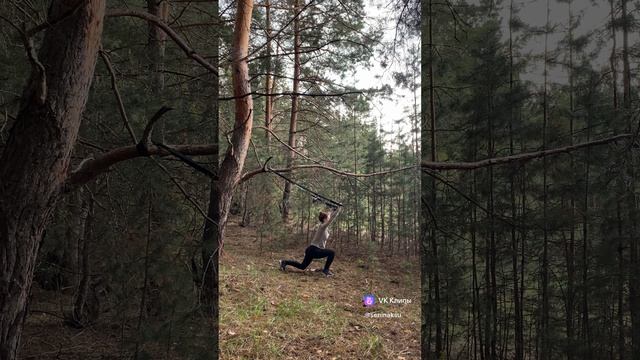 моя тренировка