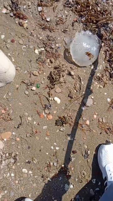 Кого я сегодня нашла