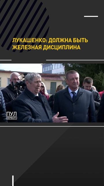 Лукашенко: должна быть железная дисциплина