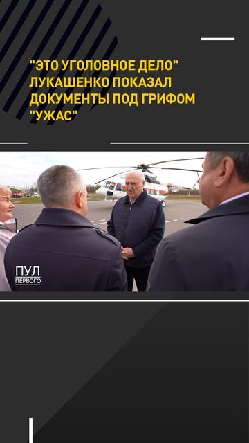 Это уголовное дело! Лукашенко показал документы под грифом ужас