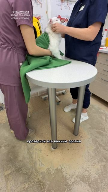 Афанасий и его ТО