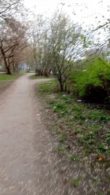 Ёжик проснулся.