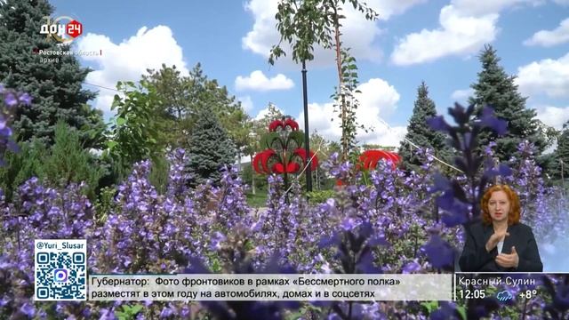 Голосование за благоустройство