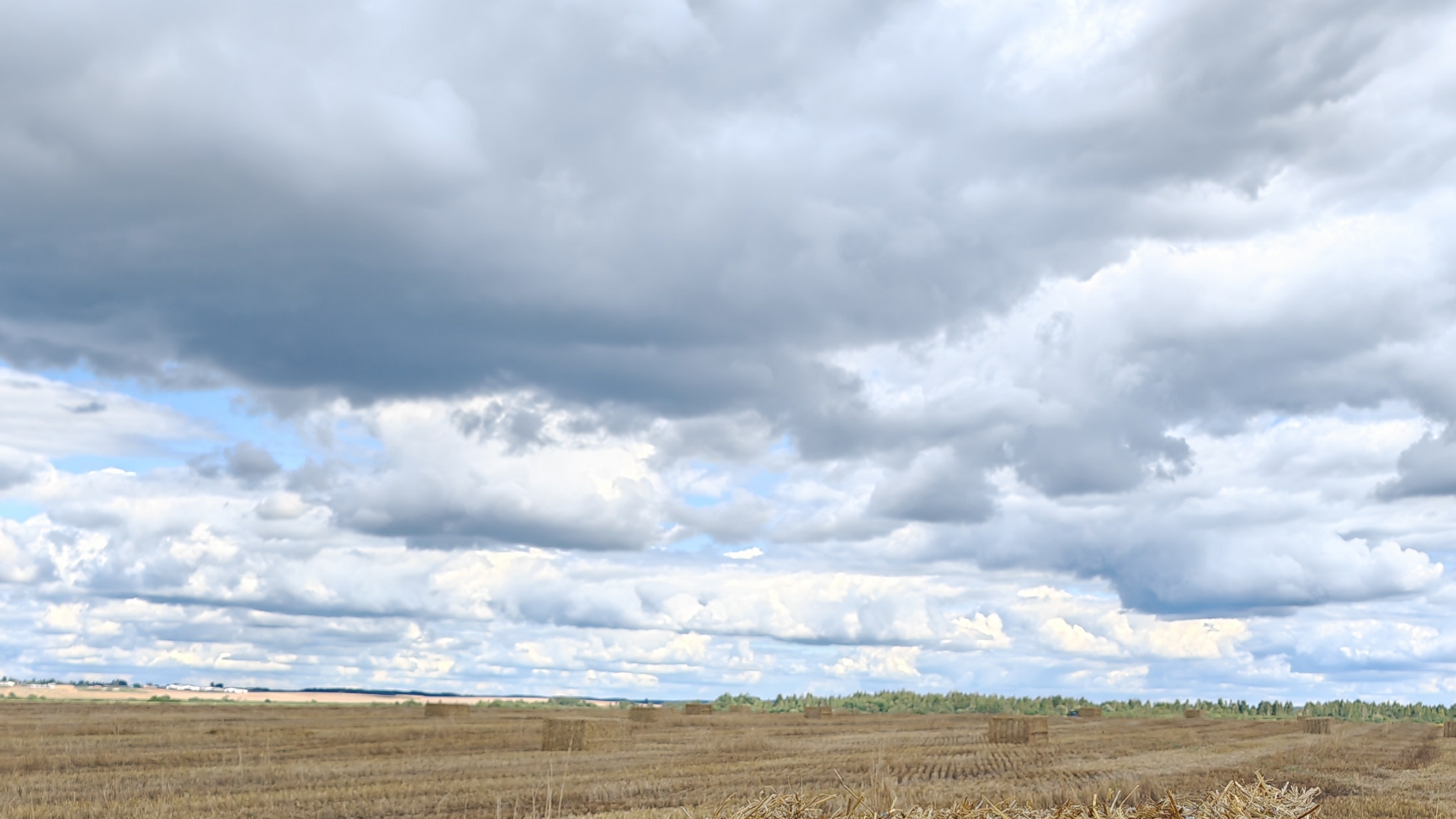 Часть третья. Смоливуд